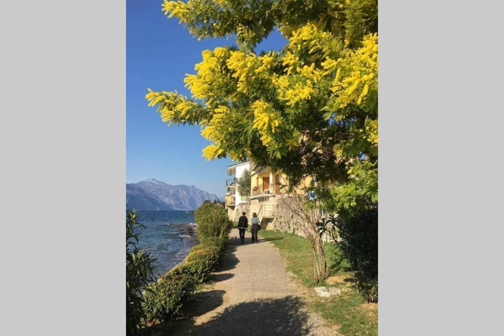 Villa Francesca-Grande Appartamento In Riva Al Lago Brenzone sul Garda Kültér fotó